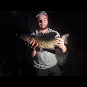 Meet your Posher, James